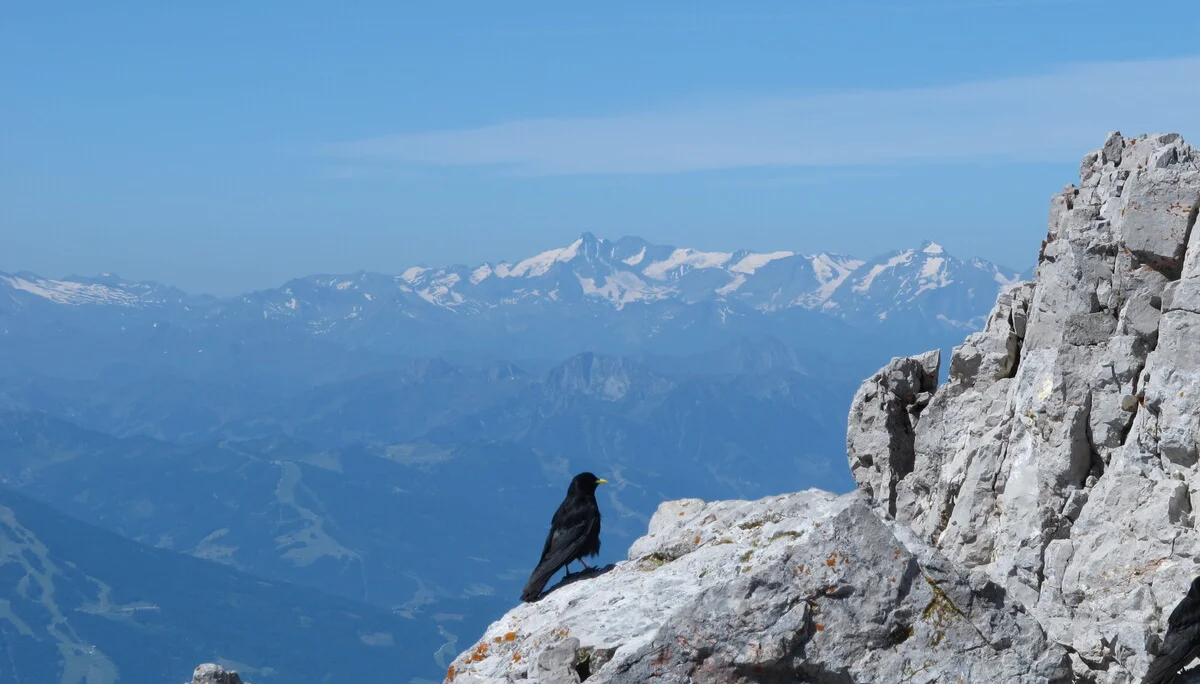 Dachstein | © Dachstein