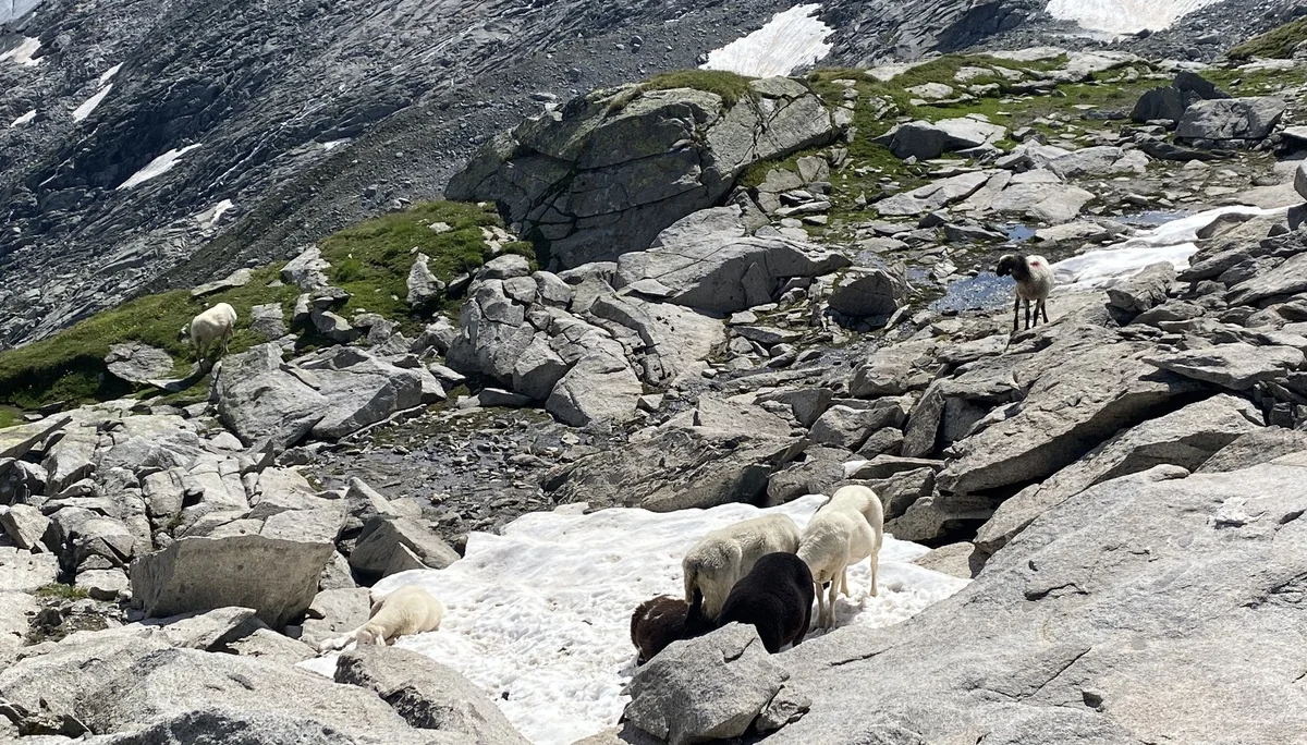 Grossvenediger | © Grossvenediger