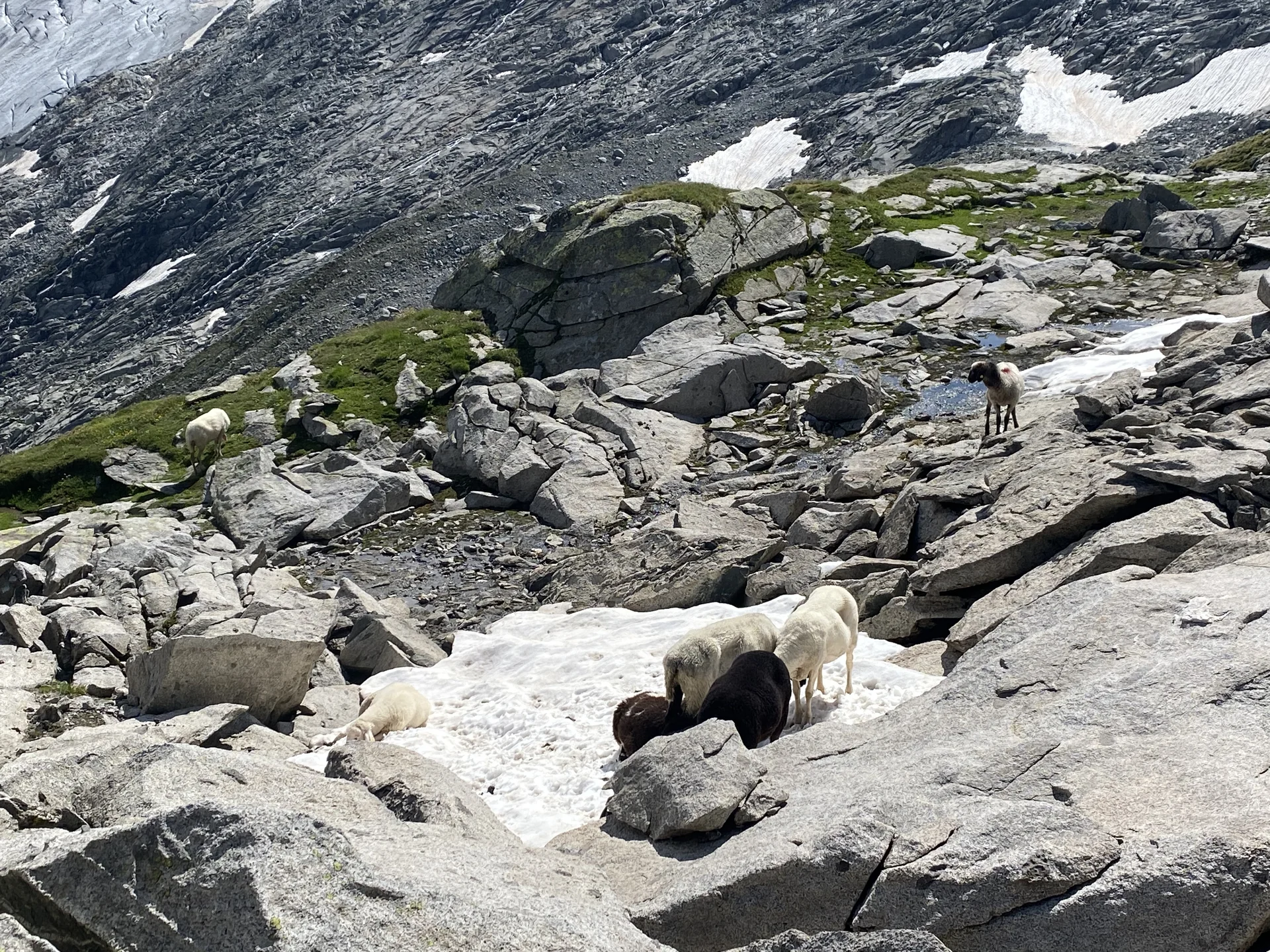 Grossvenediger | © Grossvenediger