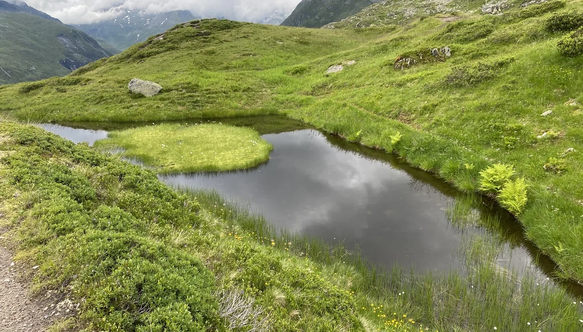 Grossvenediger | © Grossvenediger