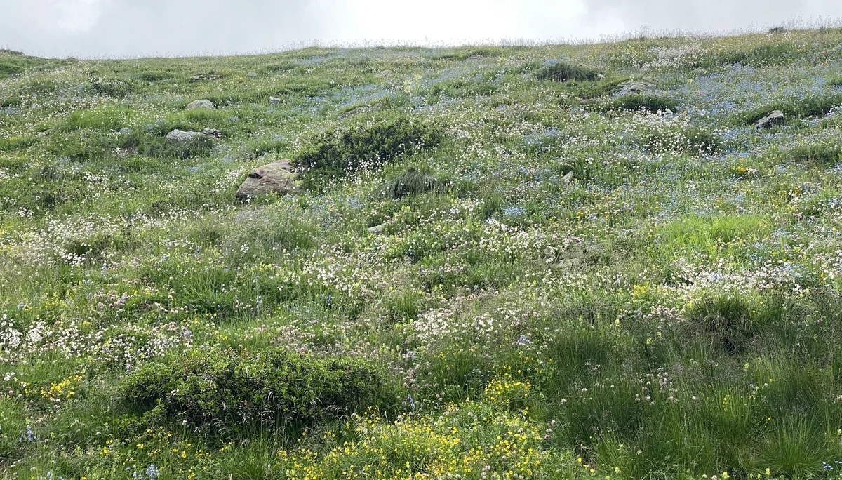 Grossvenediger | © Grossvenediger