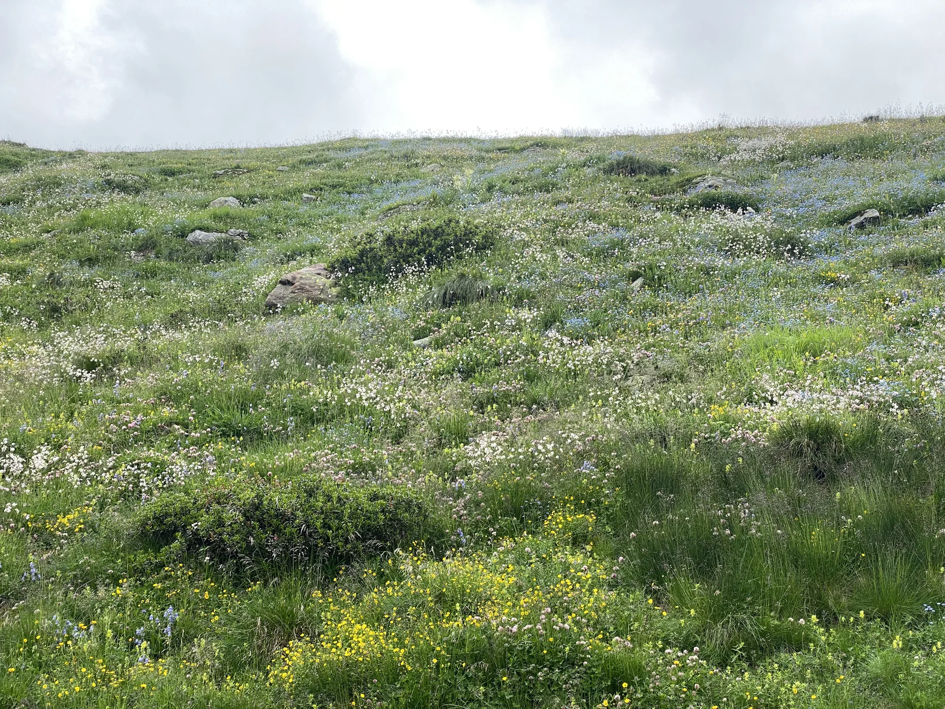 Grossvenediger | © Grossvenediger