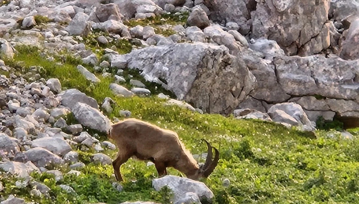 DAV Sektion Dingolfing auf dem Hohen Dachstein | © Ernst Konrad