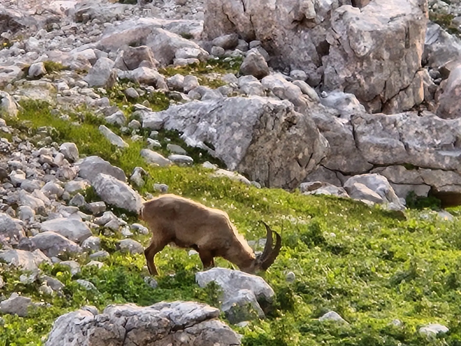 DAV Sektion Dingolfing auf dem Hohen Dachstein | © Ernst Konrad
