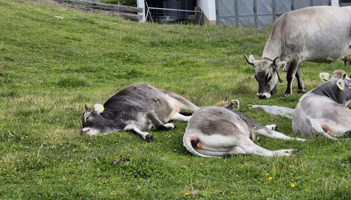 DAV Sektion Dingolfing auf der Wildspitze  | © Ernst Konrad