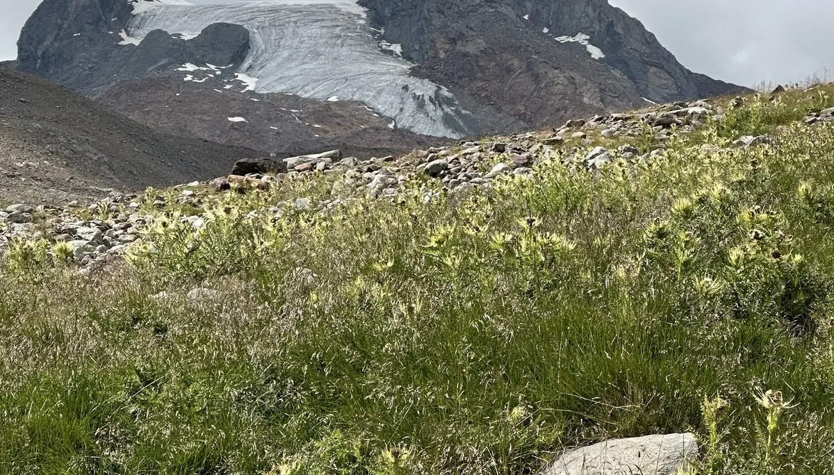 Erfolgreiche Hochtour auf die Hochvernagtspitze | © Ernst Konrad