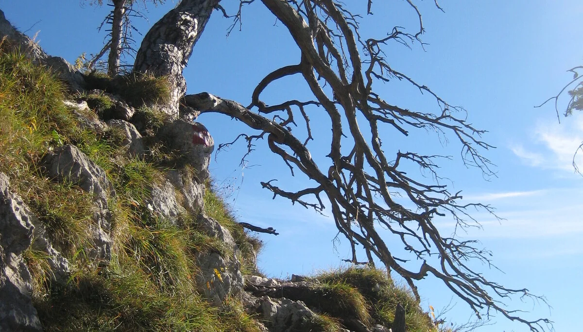 Traunstein  | © Traunstein 