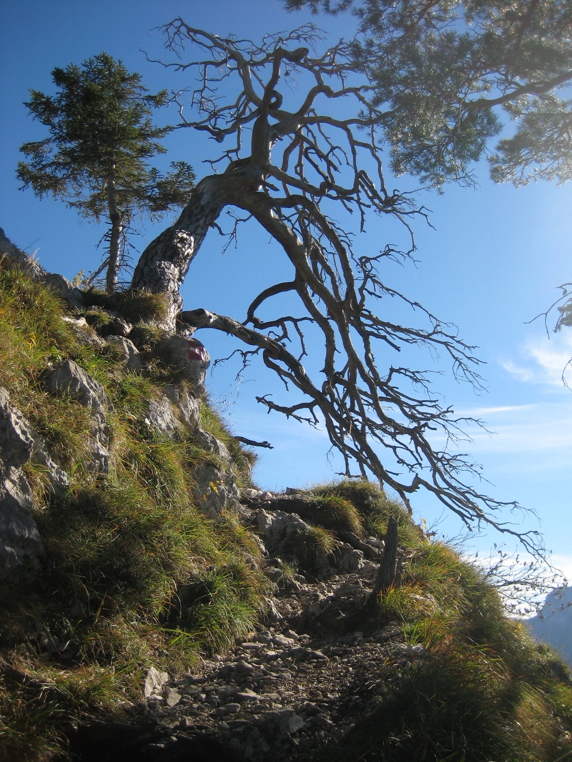 Traunstein  | © Traunstein 