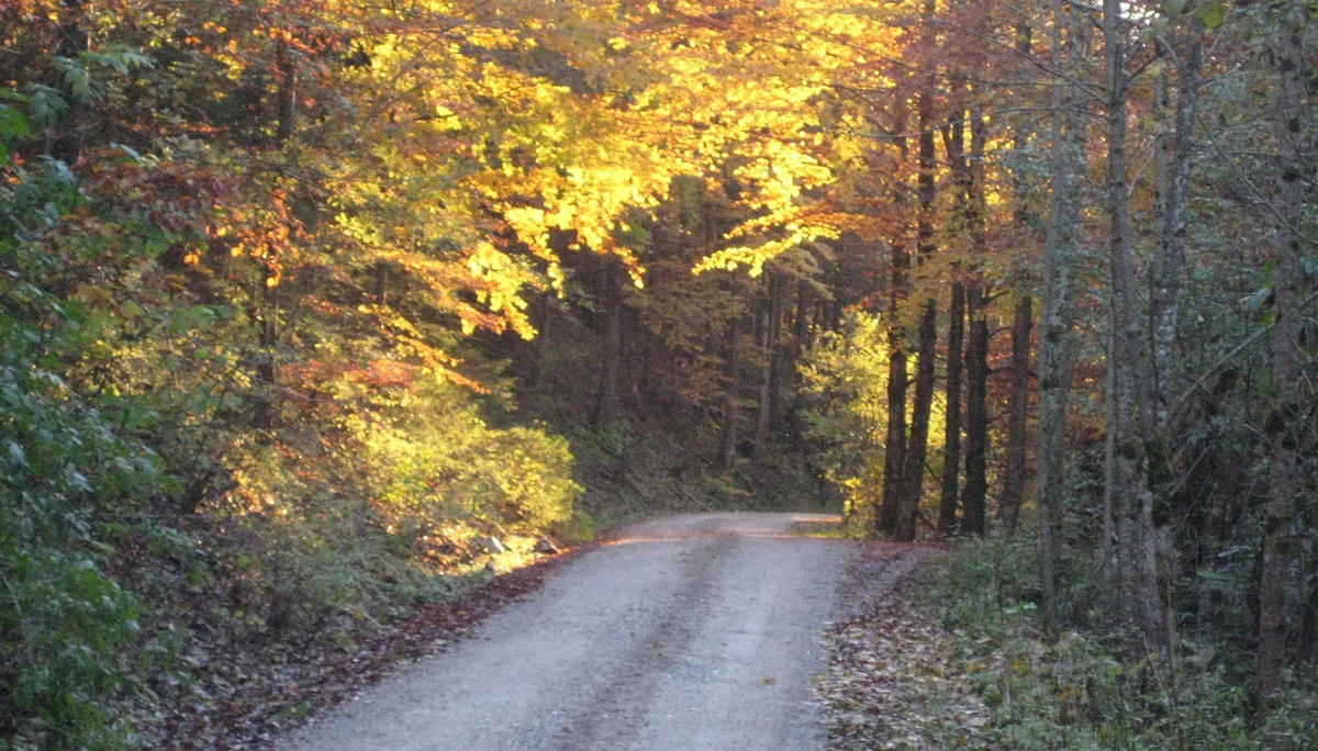 Traunstein  | © Traunstein 