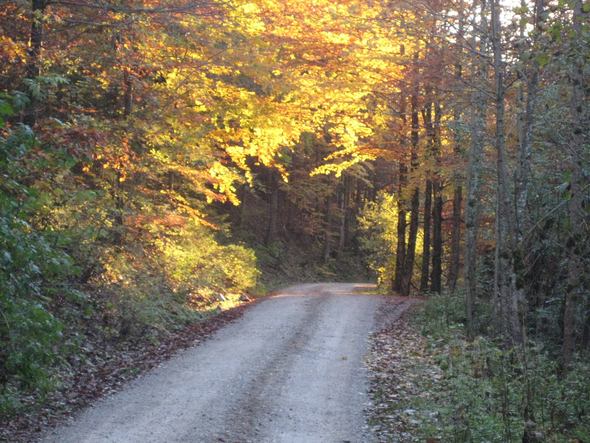 Traunstein  | © Traunstein 