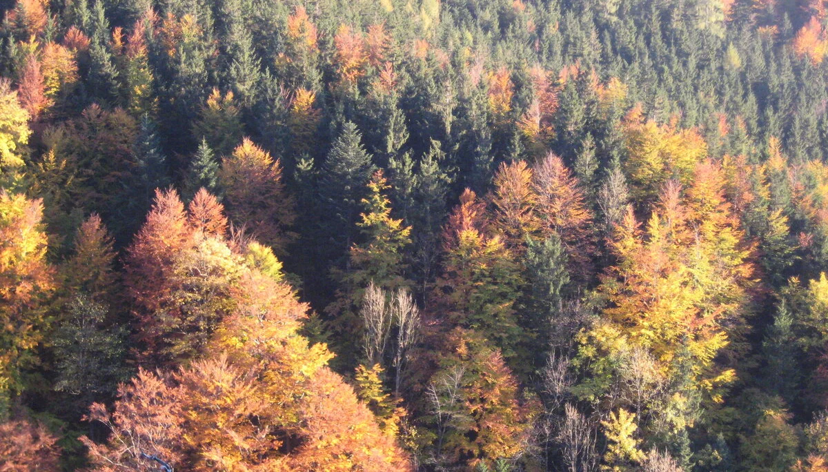 Traunstein  | © Traunstein 