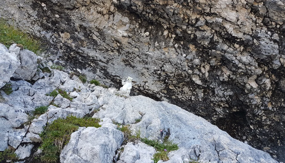 Blaueishütte | © Blaueishütte