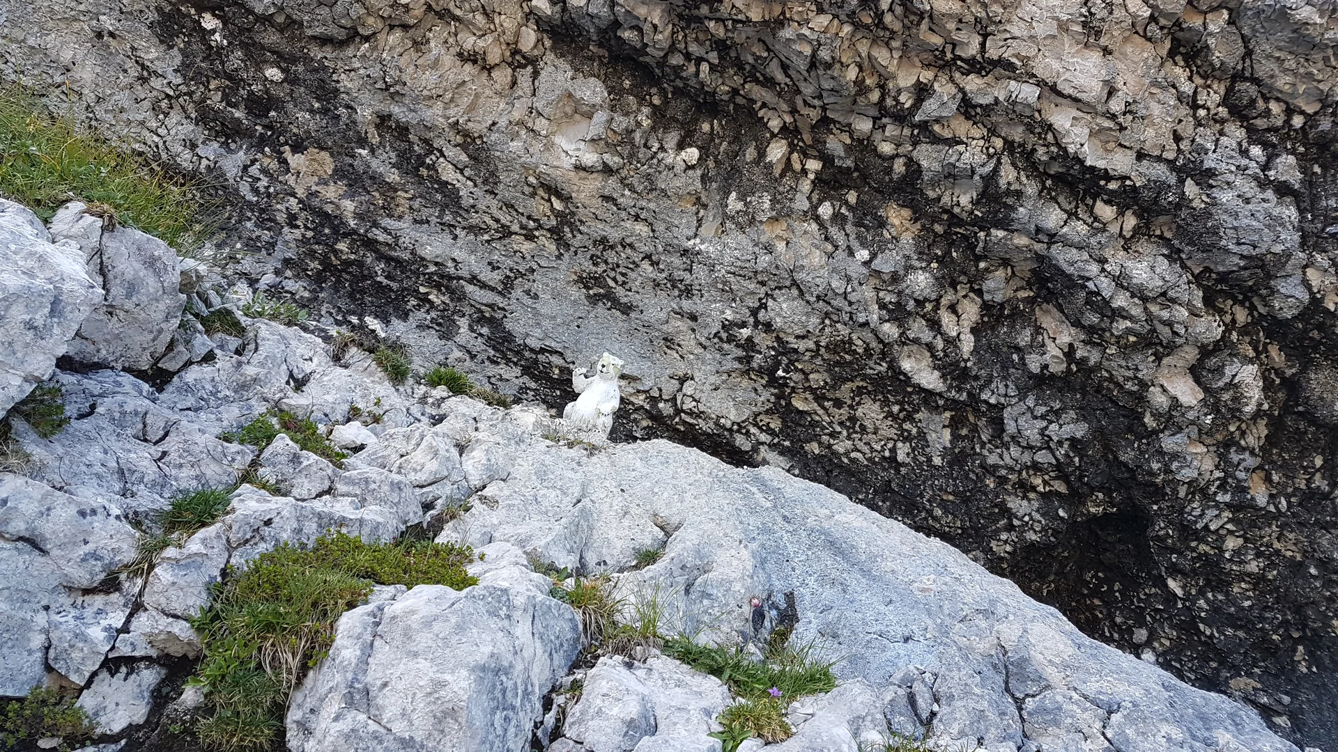 Blaueishütte | © Blaueishütte