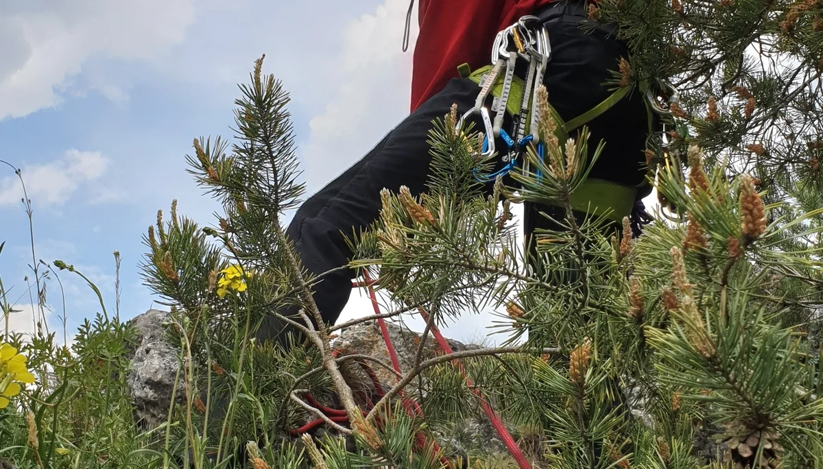 Schönhofen | © Schönhofen