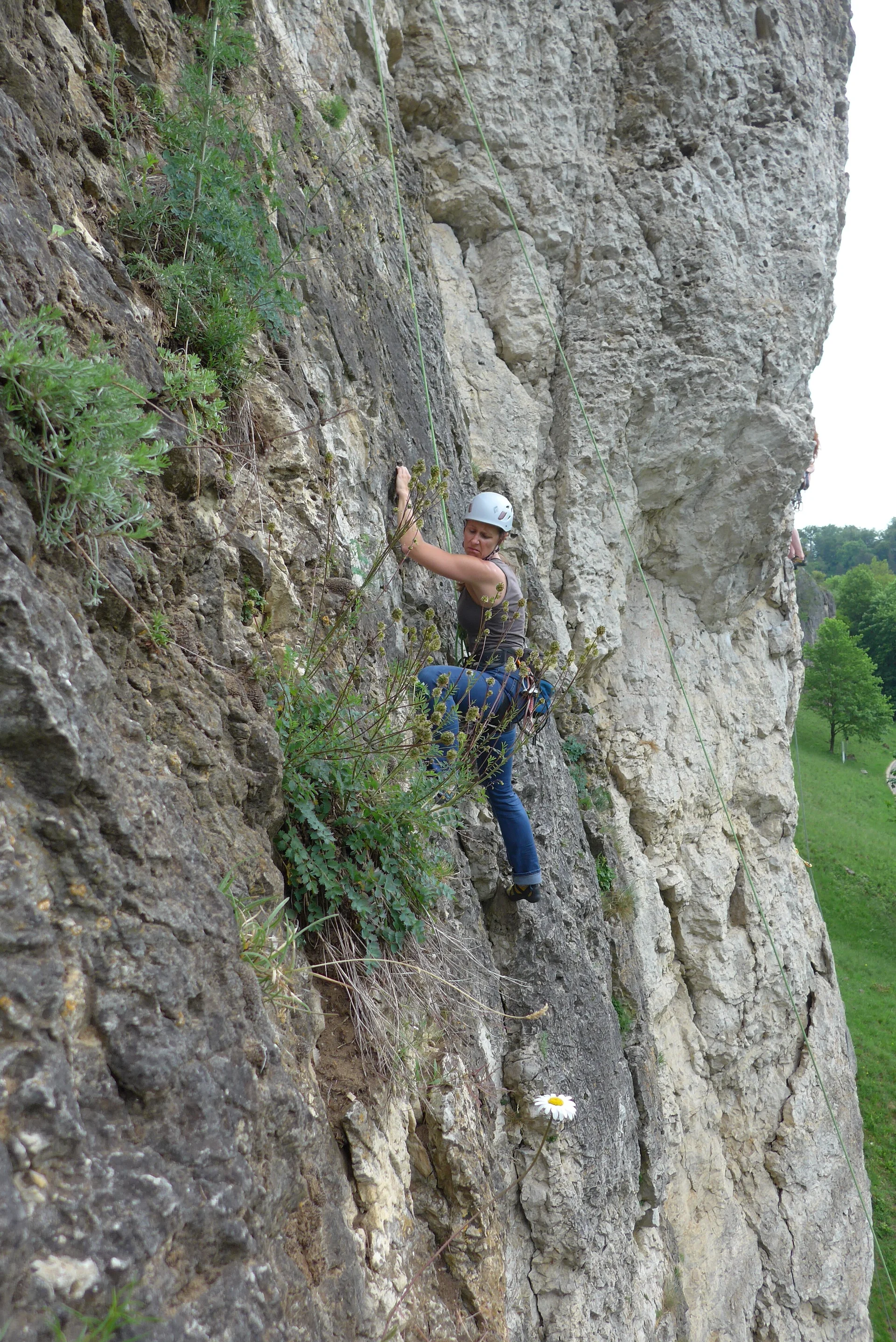 Schönhofen | © Schönhofen