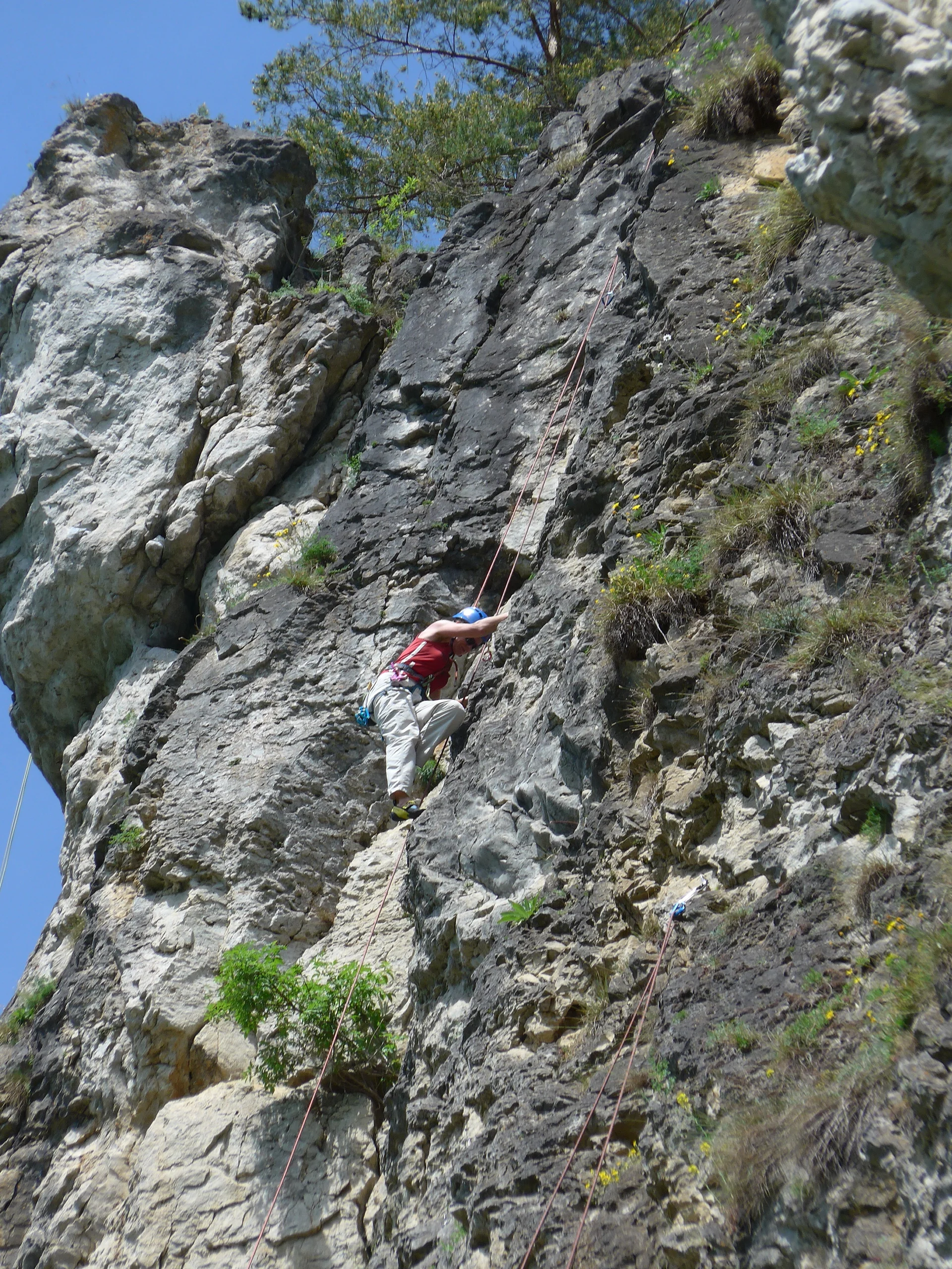 Schönhofen | © Schönhofen