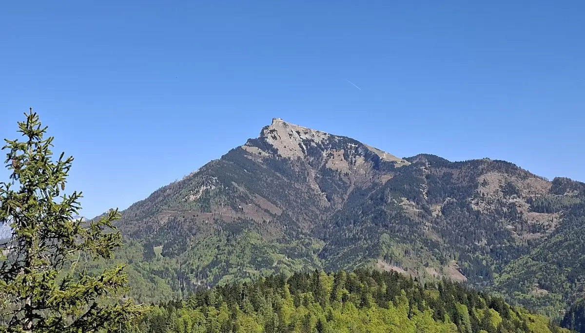 Klettern am Plombergstein | © Beindl Manfred