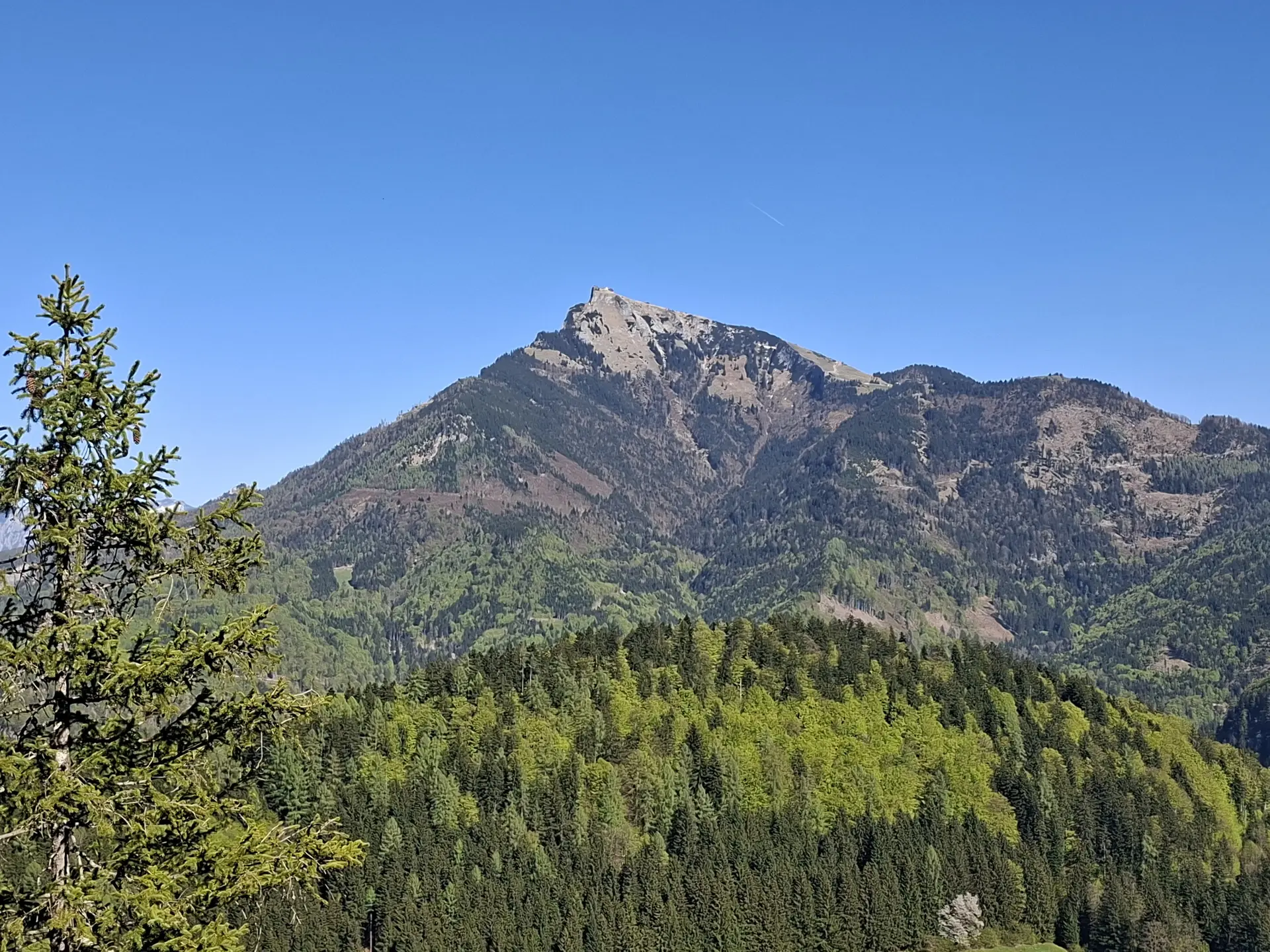 Klettern am Plombergstein | © Beindl Manfred