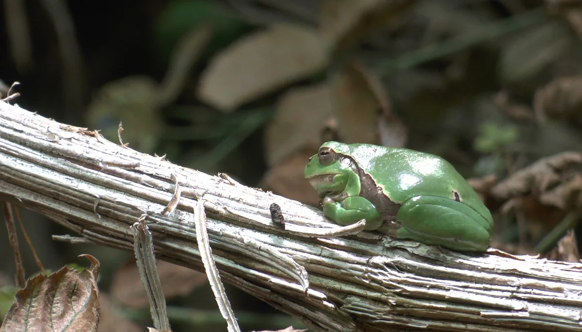 Innsbrucker Klettersteig | © Innsbrucker Klettersteig