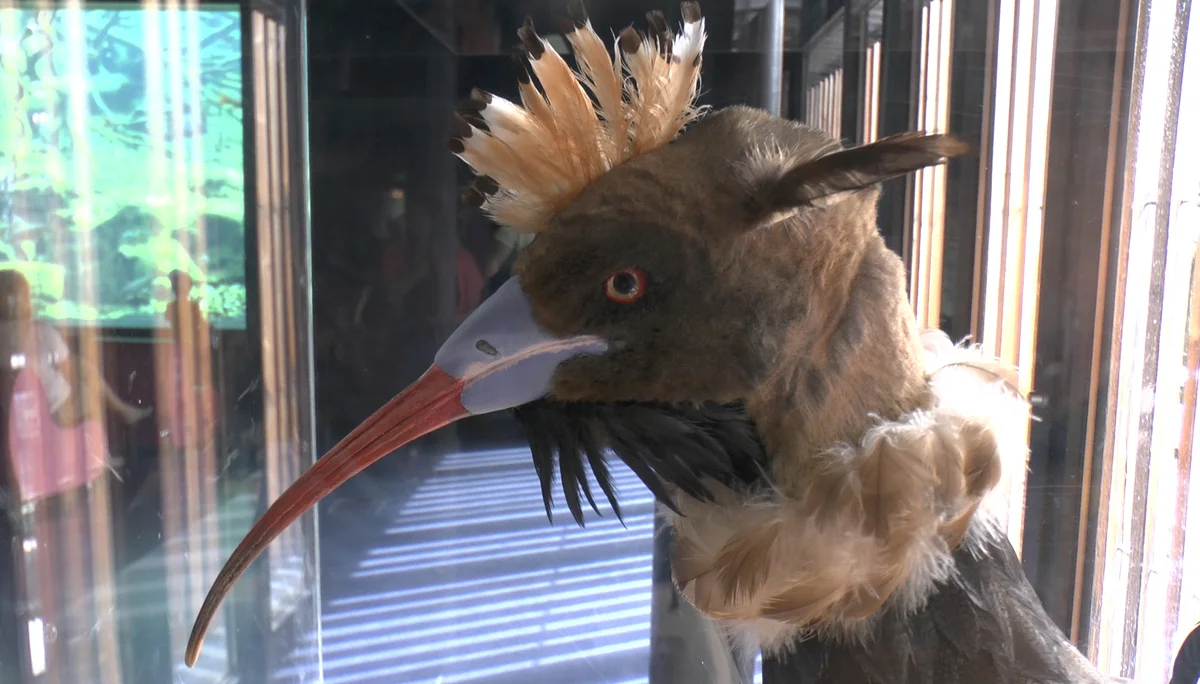 Innsbrucker Klettersteig | © Innsbrucker Klettersteig