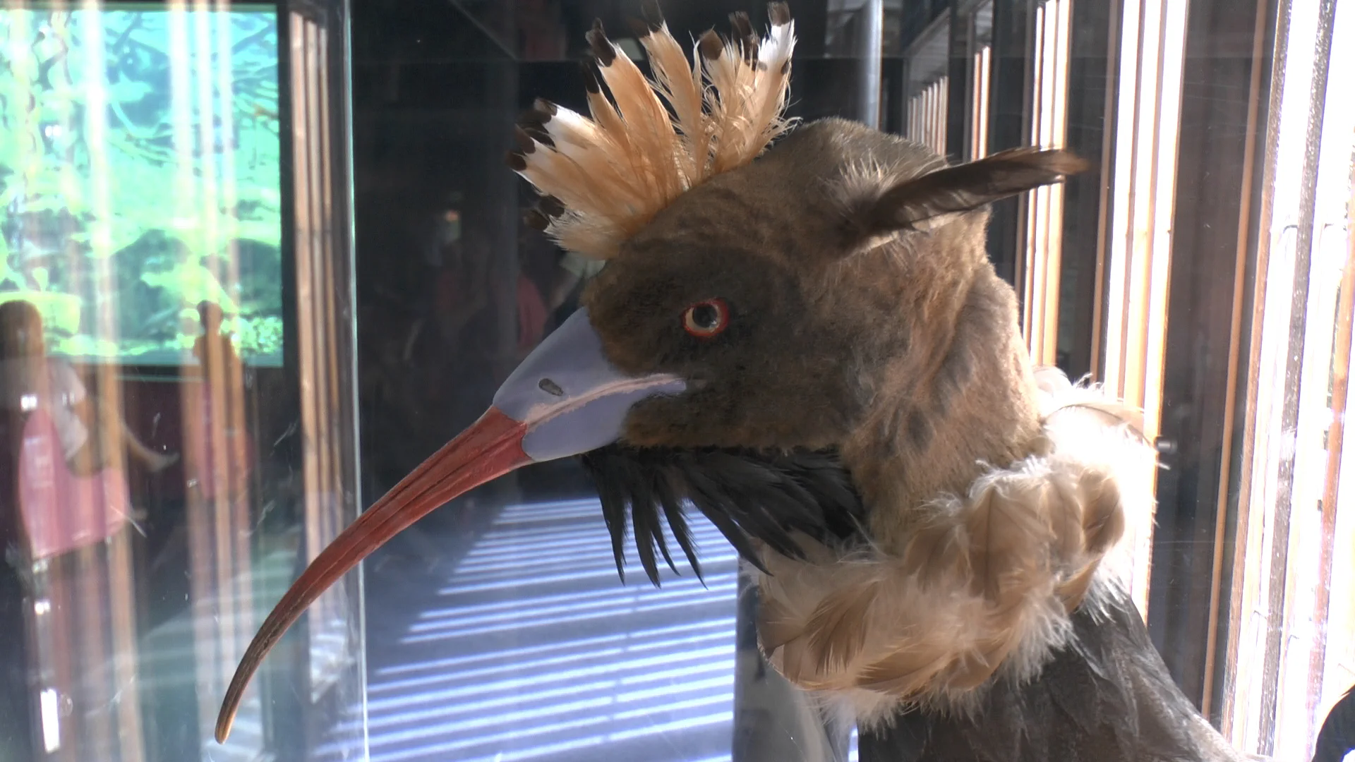 Innsbrucker Klettersteig | © Innsbrucker Klettersteig