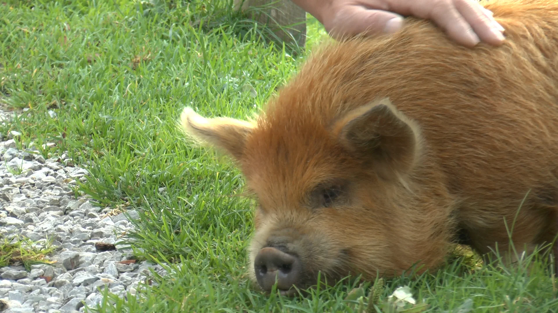 Innsbrucker Klettersteig | © Innsbrucker Klettersteig