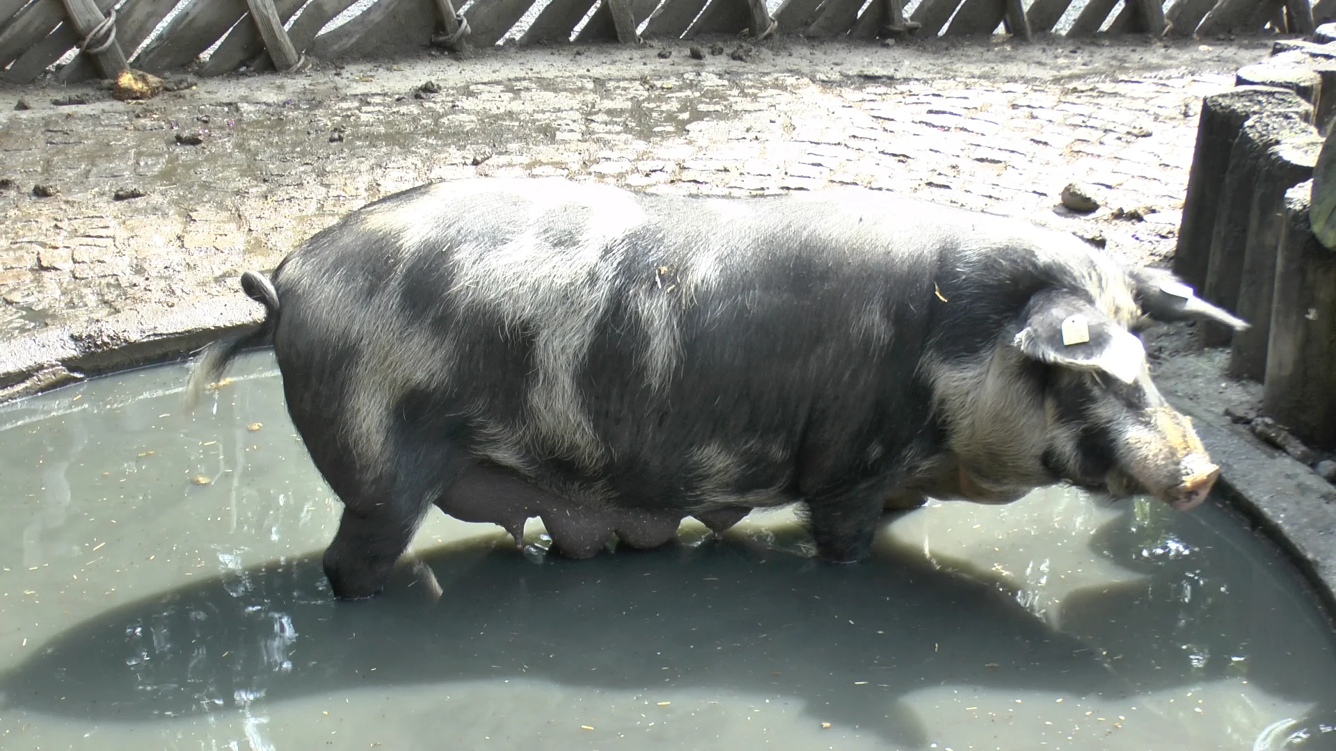 Innsbrucker Klettersteig | © Innsbrucker Klettersteig