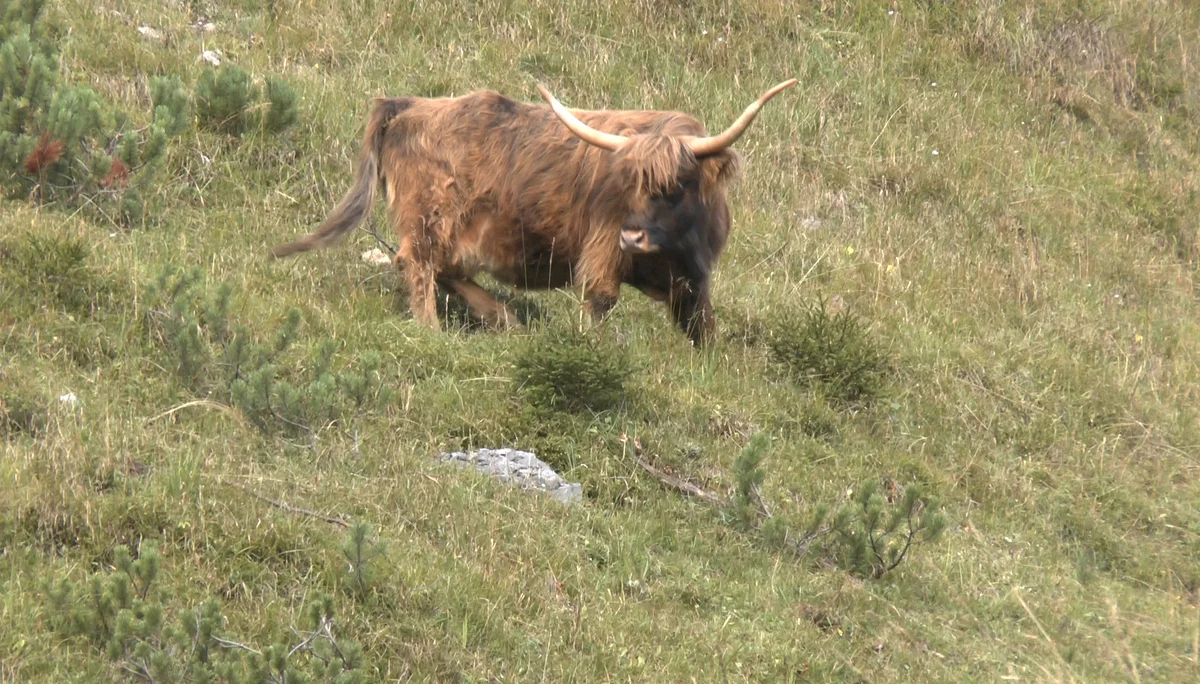 Innsbrucker Klettersteig | © Innsbrucker Klettersteig