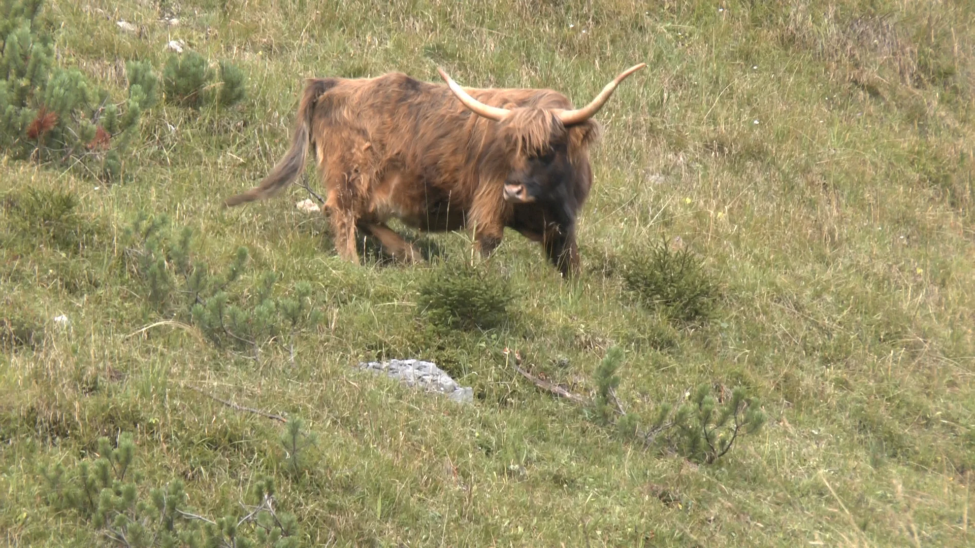 Innsbrucker Klettersteig | © Innsbrucker Klettersteig