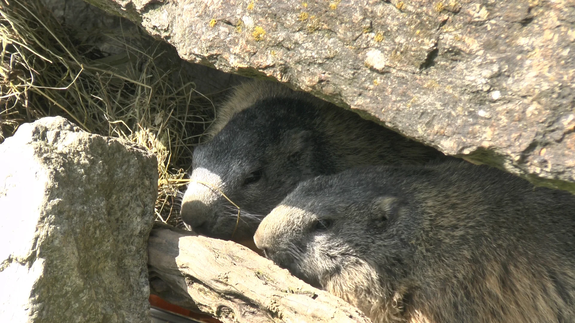 Innsbrucker Klettersteig | © Innsbrucker Klettersteig
