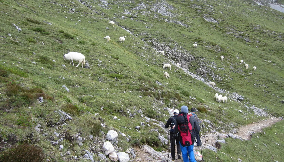 © Ramsauer Klettersteig