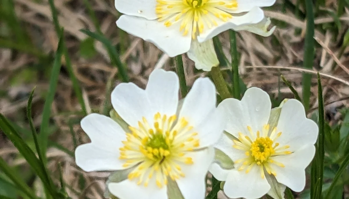 Klettersteig s'Schuastagangl | © Maier Georg