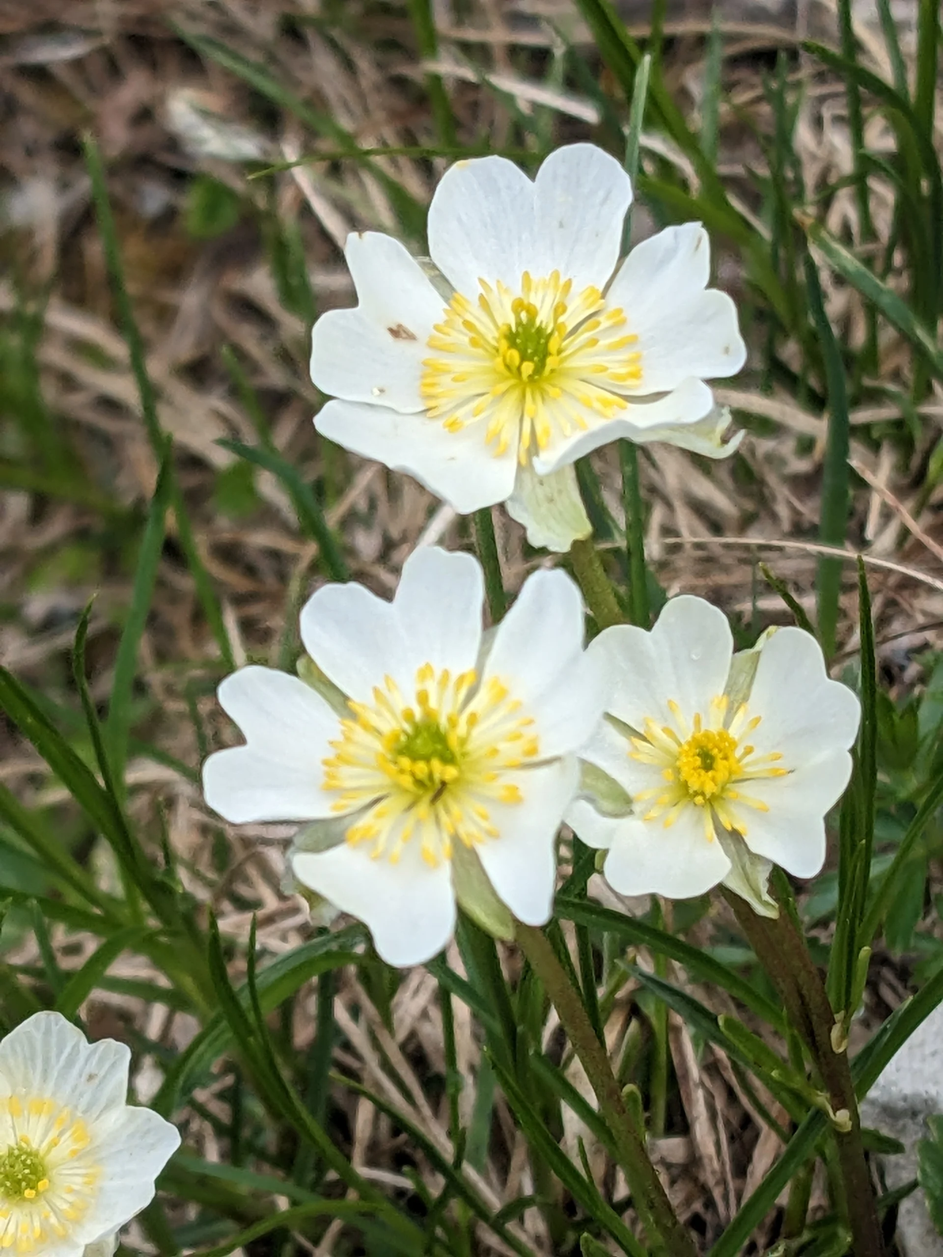 Klettersteig s'Schuastagangl | © Maier Georg