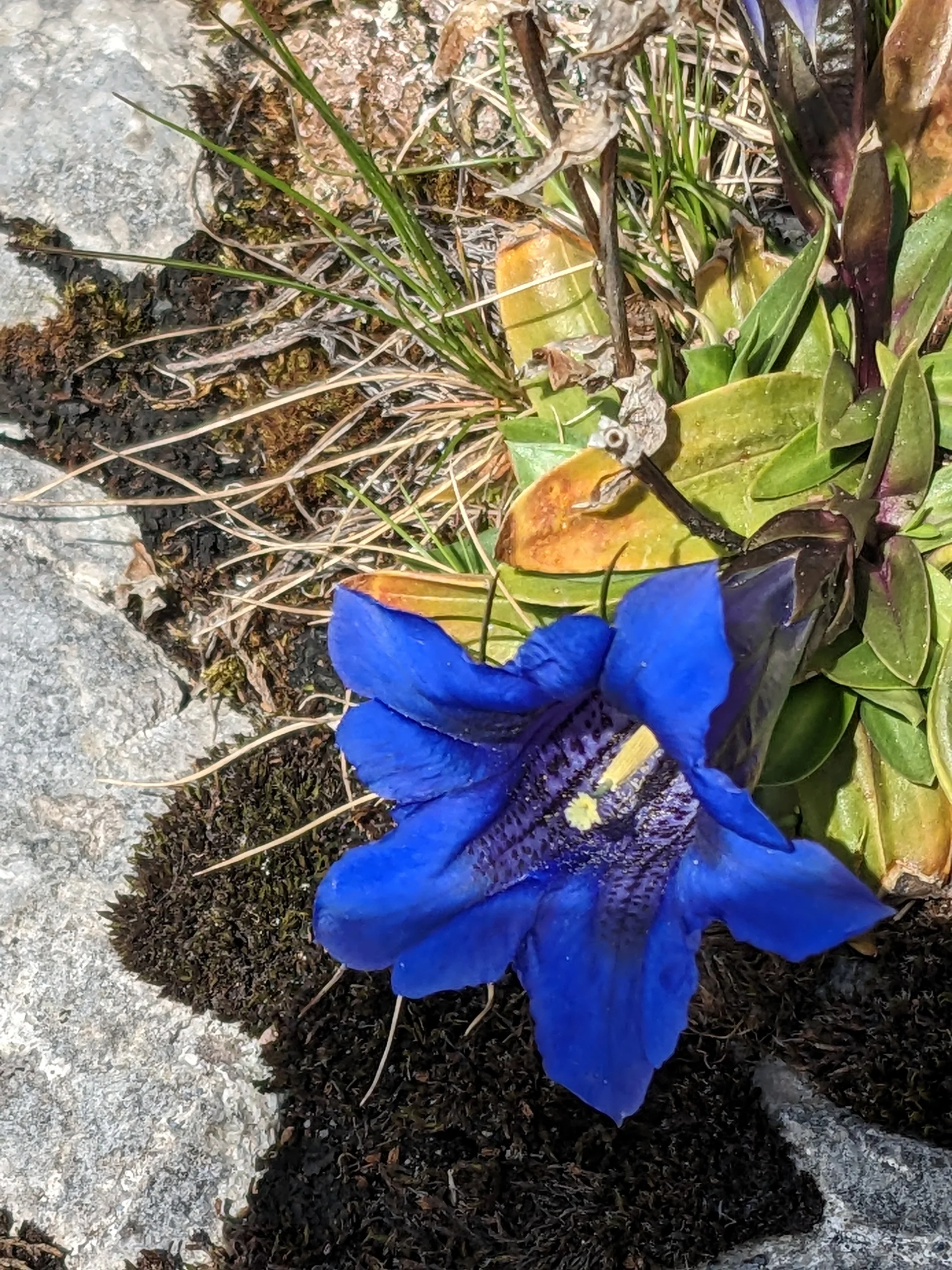 Klettersteig s'Schuastagangl | © Maier Georg