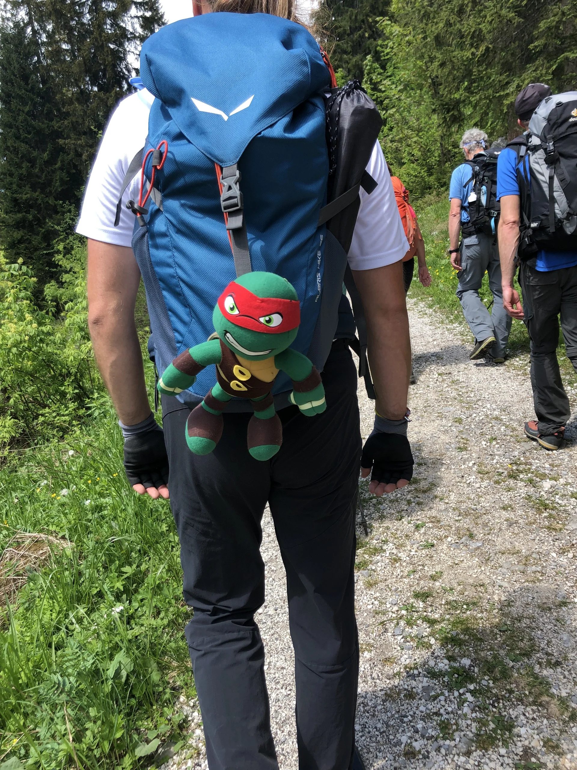 Klettersteig s'Schuastagangl | © Maier Georg