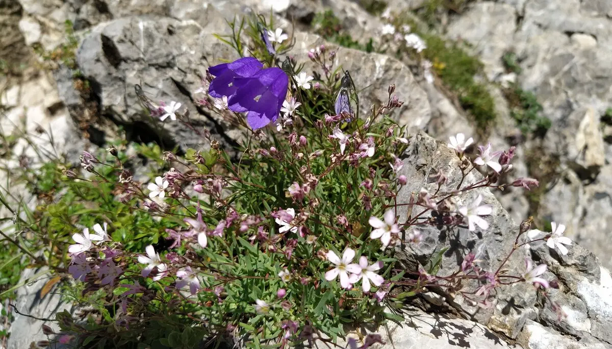 Mittenwalder Höhenweg | © Maier Georg
