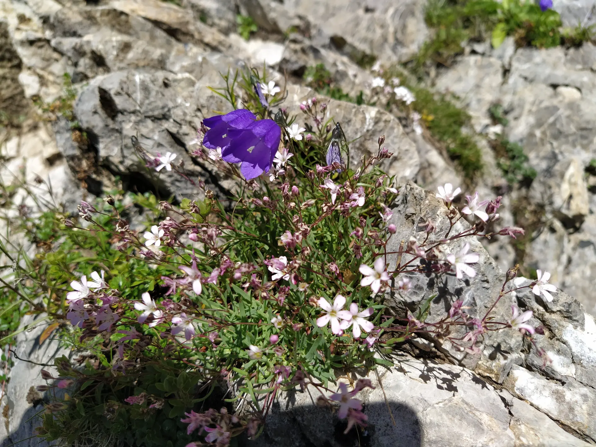 Mittenwalder Höhenweg | © Maier Georg