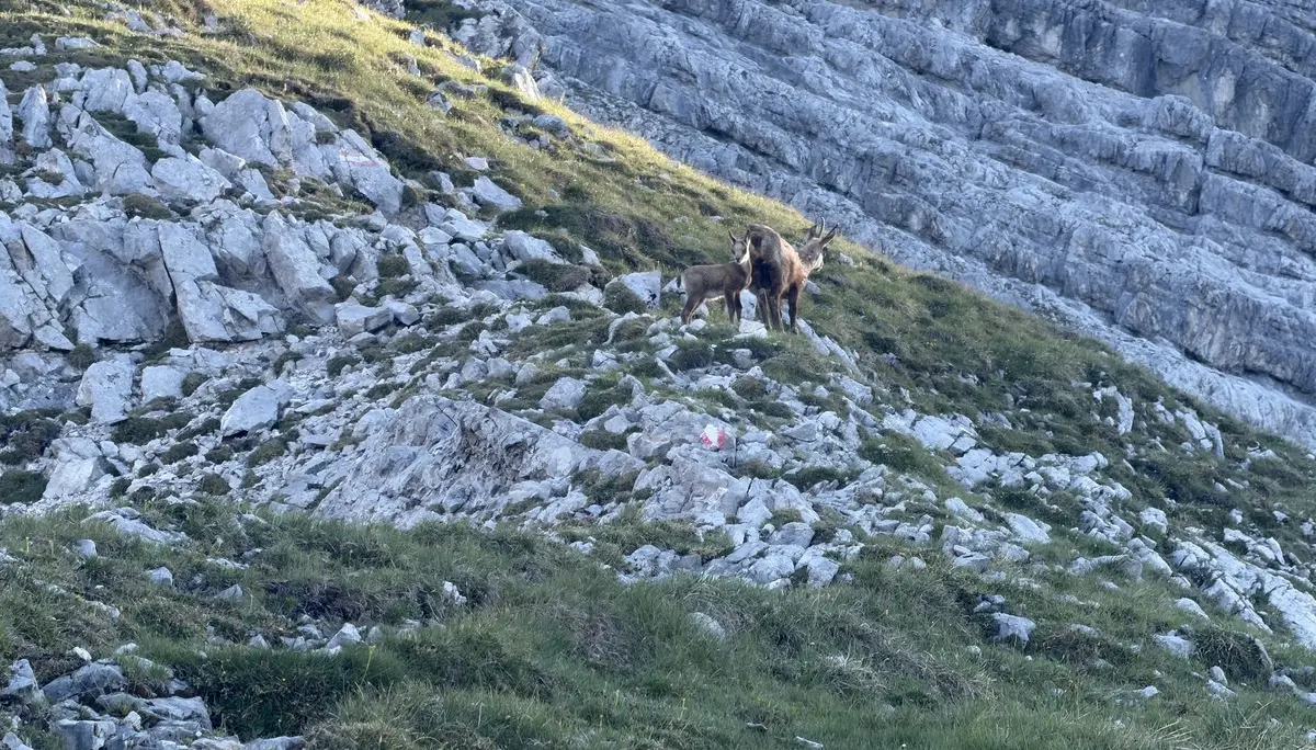 Bettelwurfüberschreitung | © Maier Georg