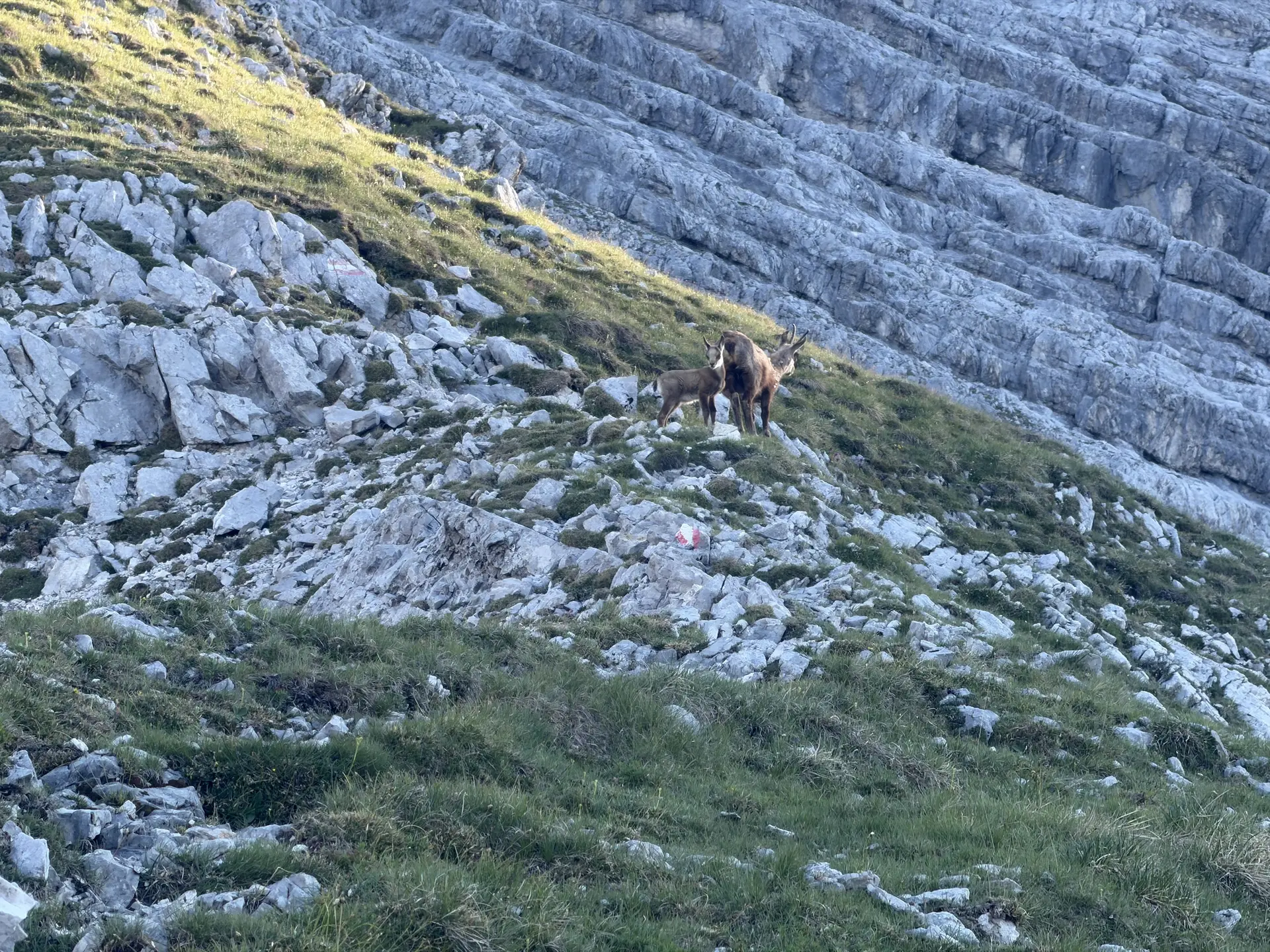 Bettelwurfüberschreitung | © Maier Georg
