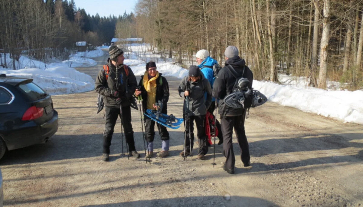 Falkenstein | © Falkenstein