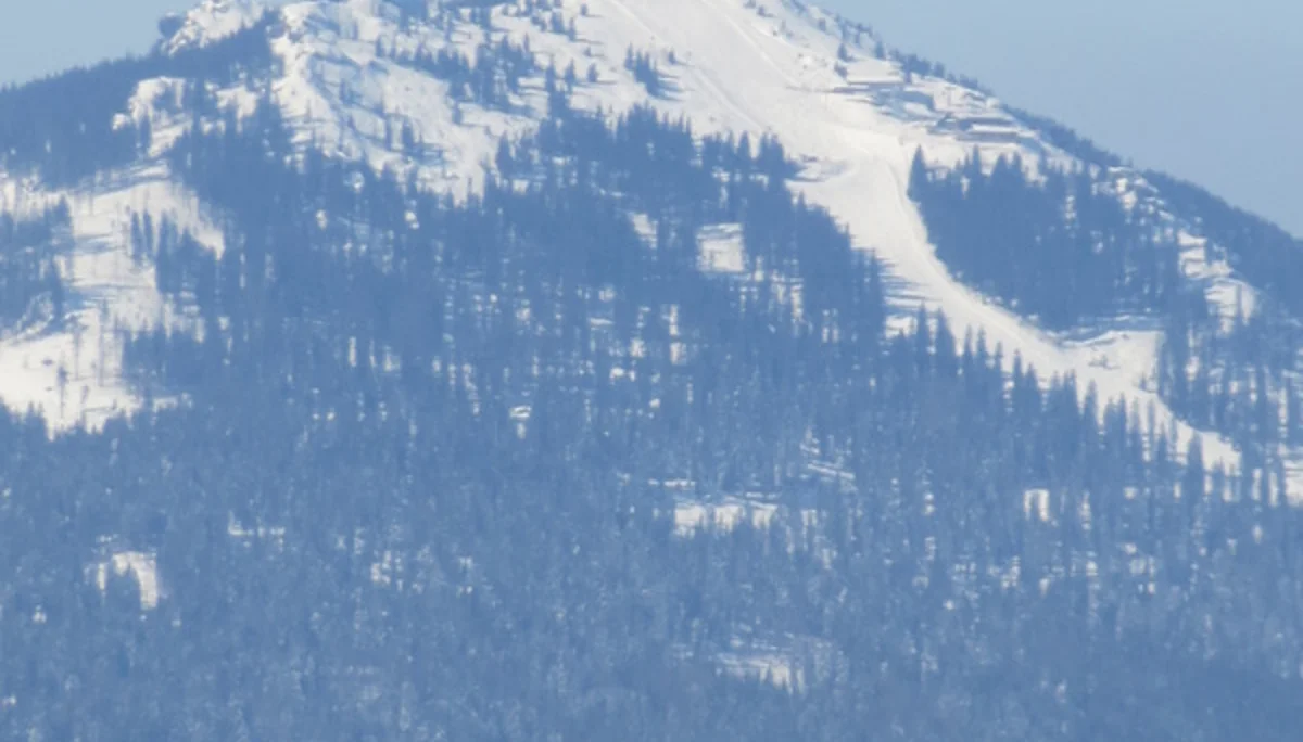 Falkenstein | © Falkenstein