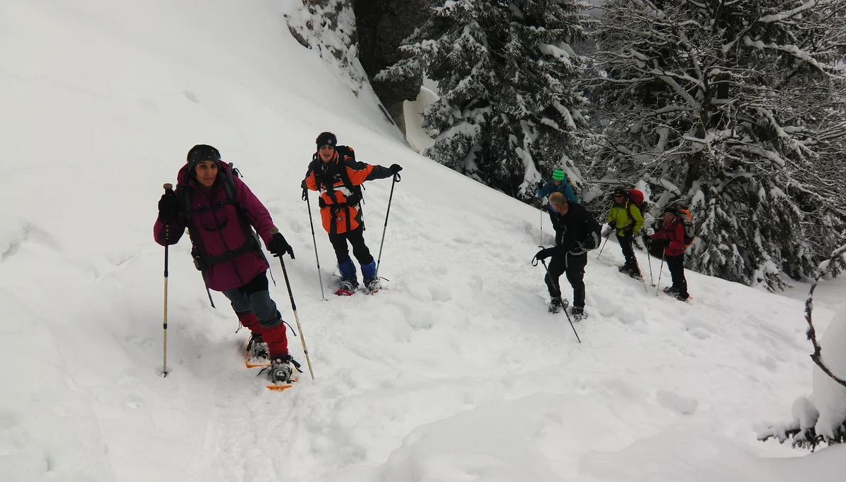 Fockenstein | © Fockenstein