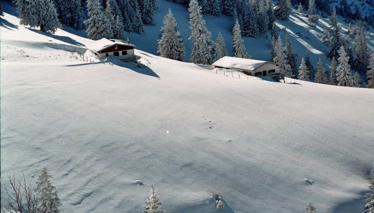 Kratzer  | © Kratzer 