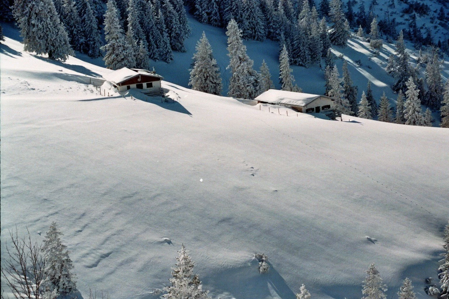 Kratzer  | © Kratzer 