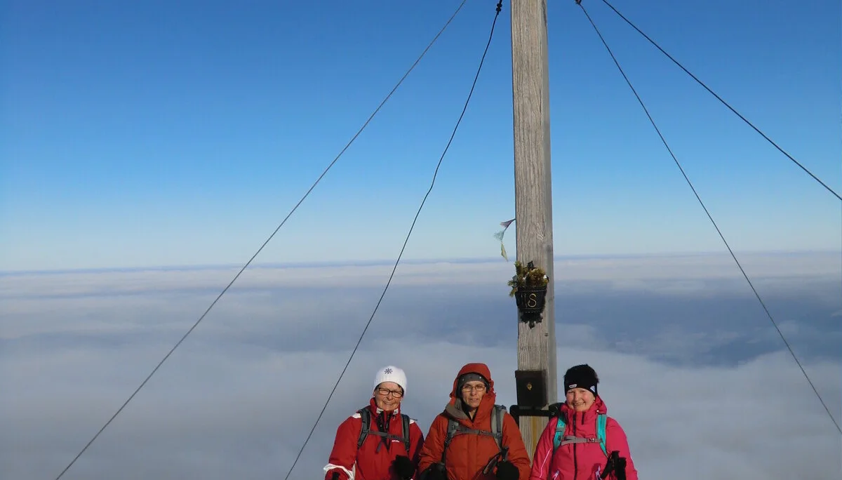 Kratzer  | © Kratzer 