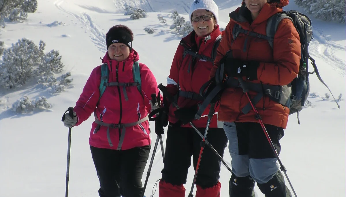 Kratzer  | © Kratzer 