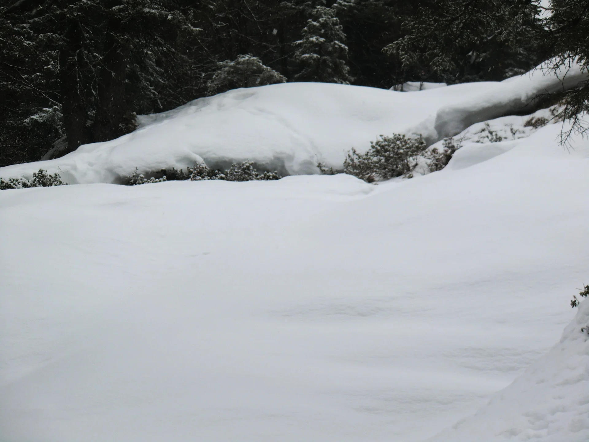 Seekarkreuz | © Seekarkreuz