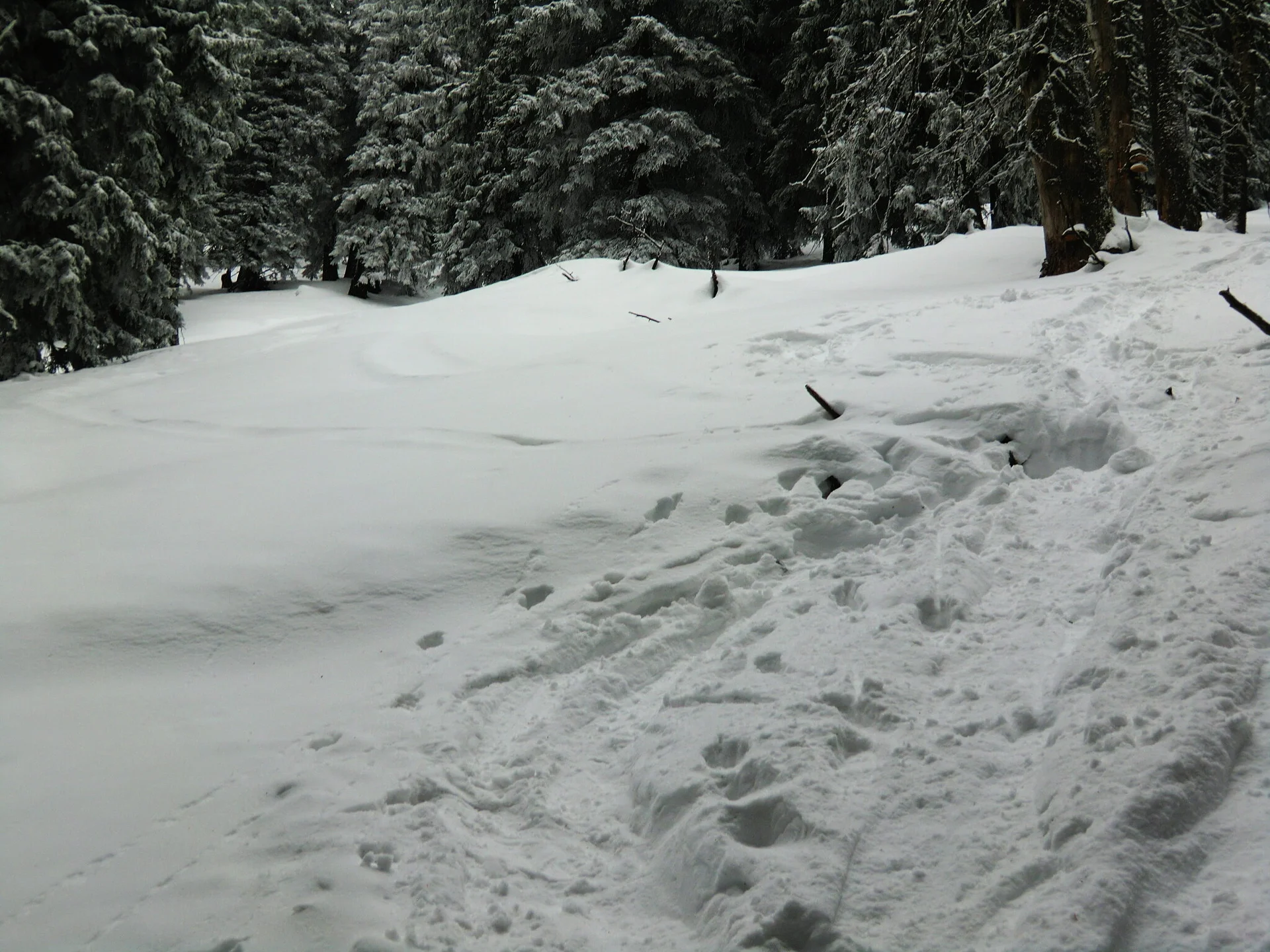 Seekarkreuz | © Seekarkreuz