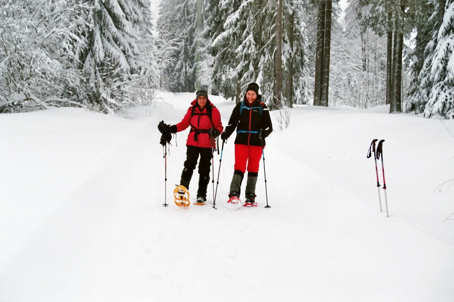 Dreisessel | © Dreisessel