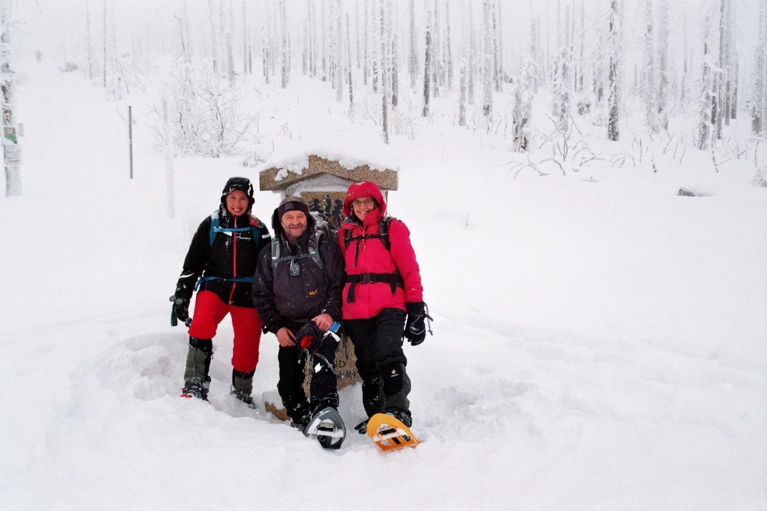 Dreisessel | © Dreisessel